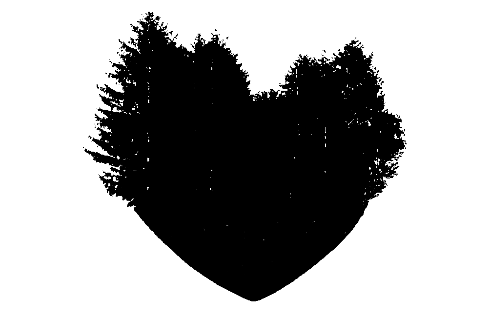 Komm in Deine Kraft!